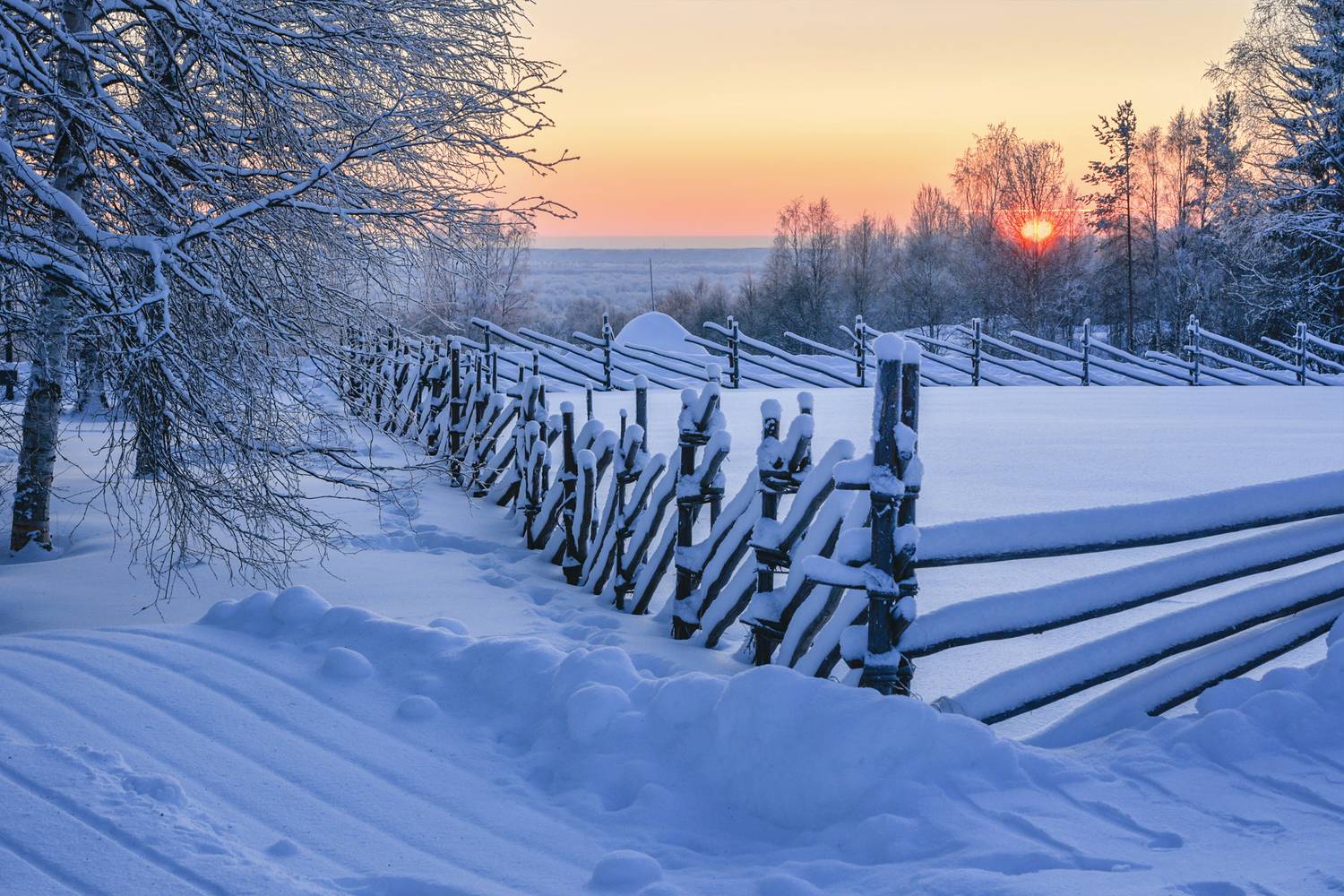 зима, закат, иней, мороз, сугробы, деревья, изгородь, следы, ритмы, Вера Ра