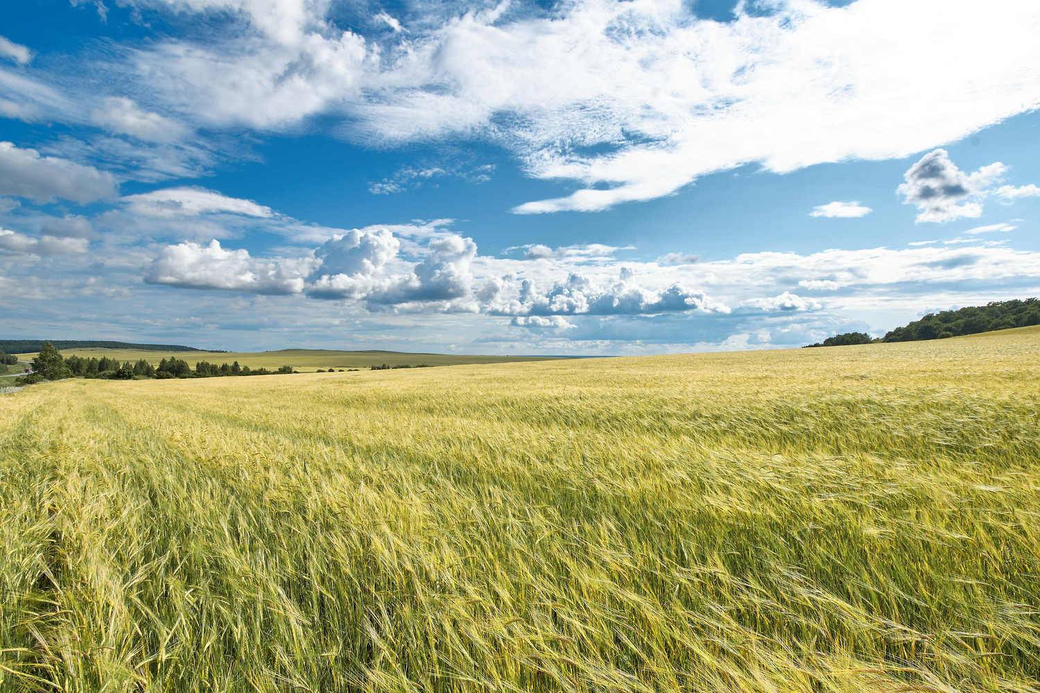 , Павел Сторчилов