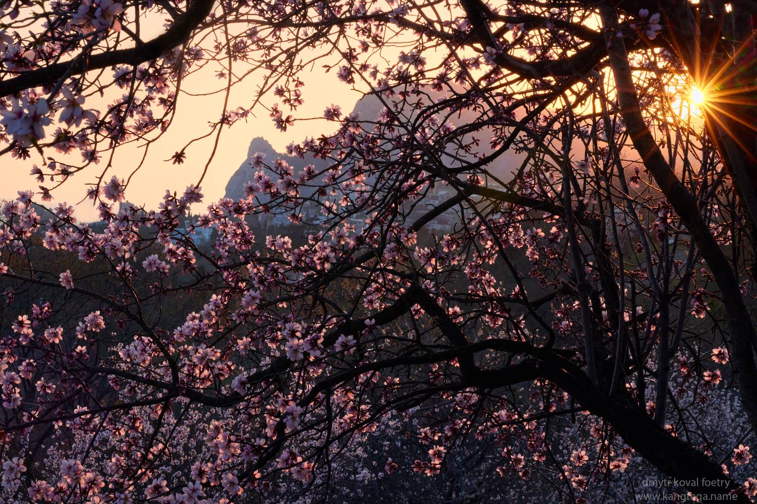 пейзажемагьё, пейзаж-как-виденье, Коваль Дмитр