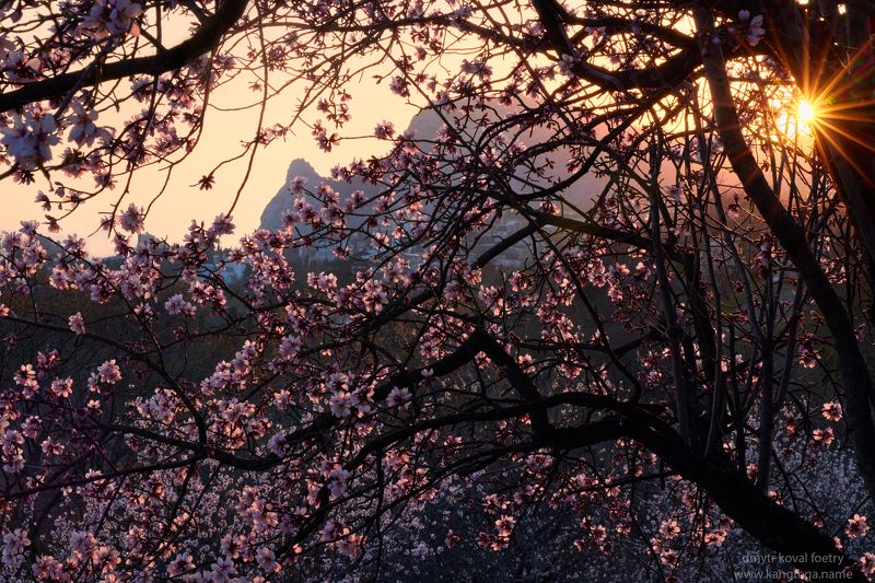 пейзажемагьё, пейзаж-как-виденье Сказка Симеизских Светений … фото превью