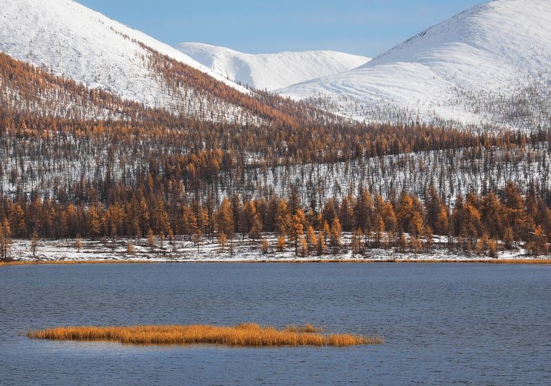 Рыжий островок фото превью