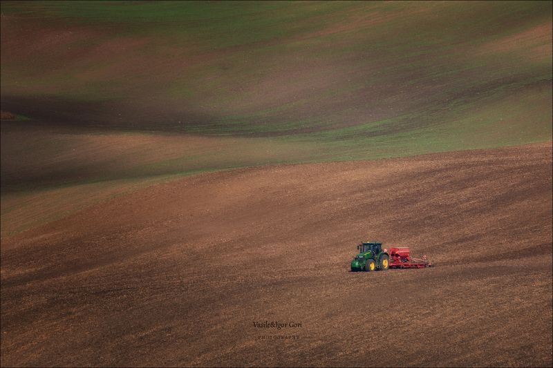 south moravian,пейзаж,линии,южная моравия,lines,свет,czech,осень,чехия,landscapes,полевыё работы,трактор,nature,agriculture,rural \