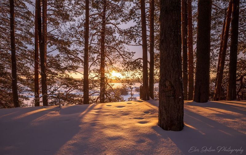 пейзаж, природа Последние мгновения зимы... фото превью
