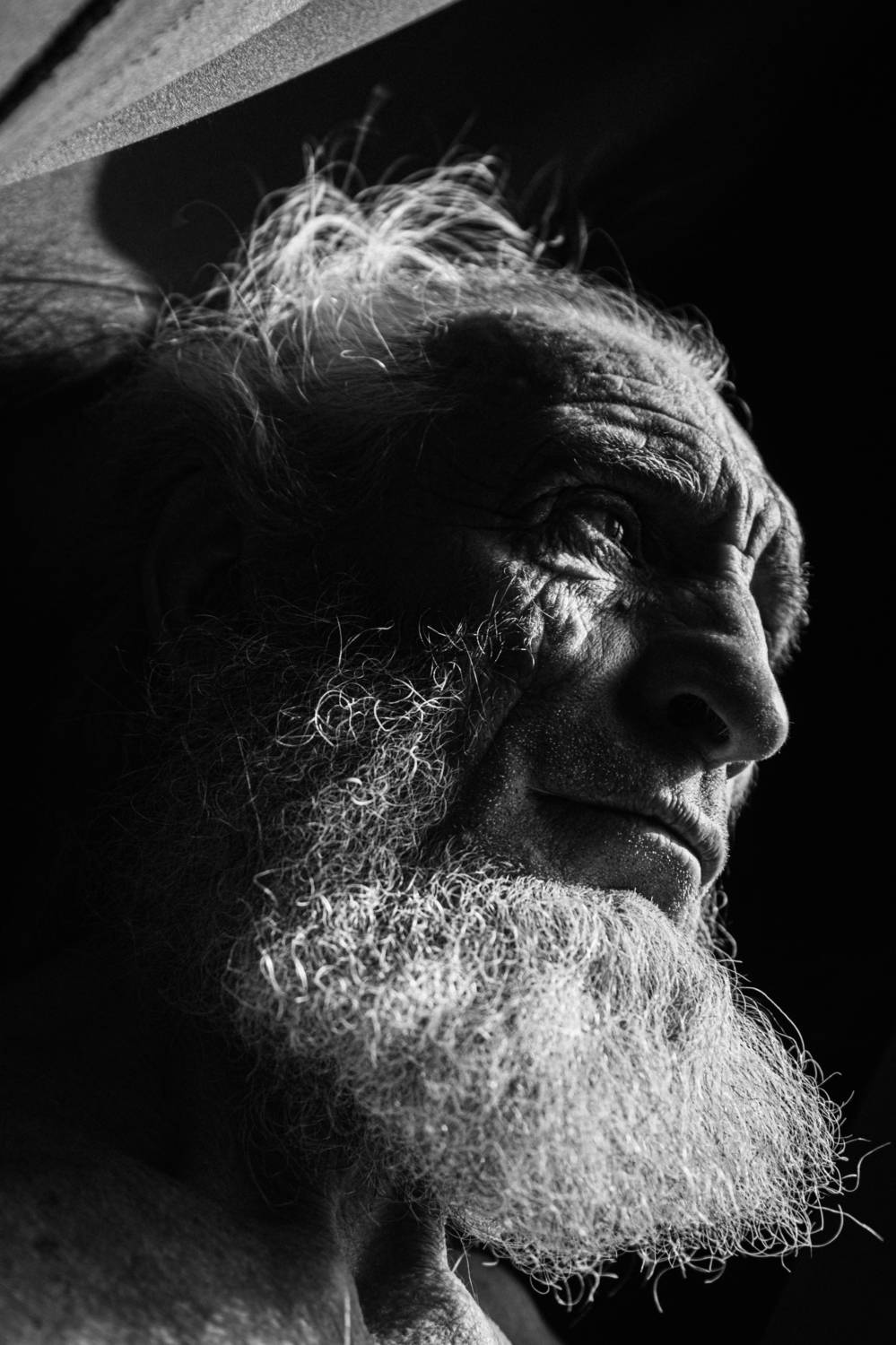 , Щеглова Марина