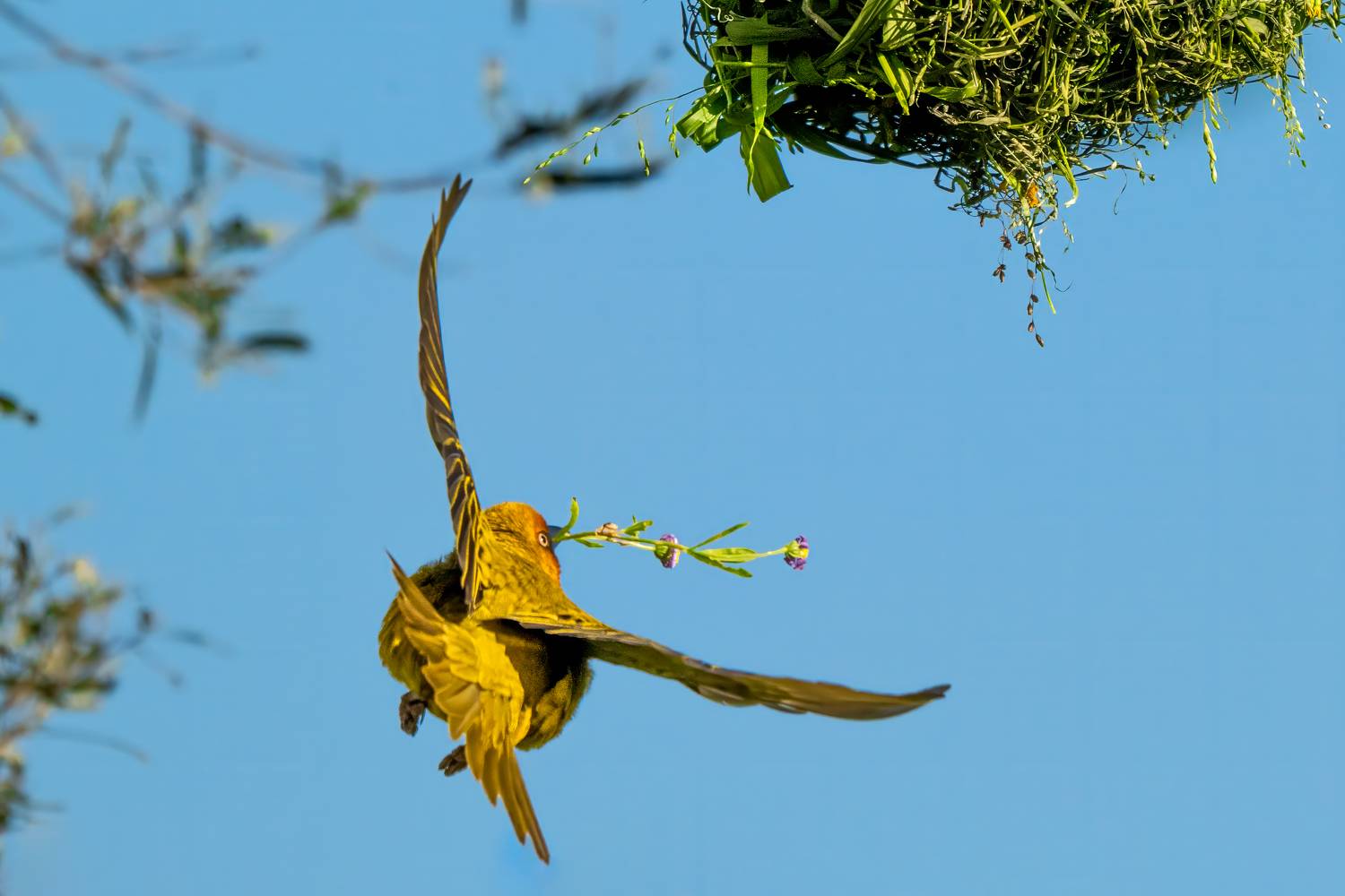 , Николай Мозгунов