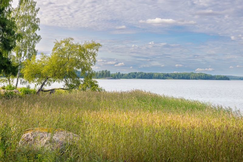 #карелия #travel #karelia #nature #природа #россия #путешествие #рускеала #trip #сортавала #travelphotography #отдых #осень #traveling Прогуливаясь по парку МОНРЕПО фото превью