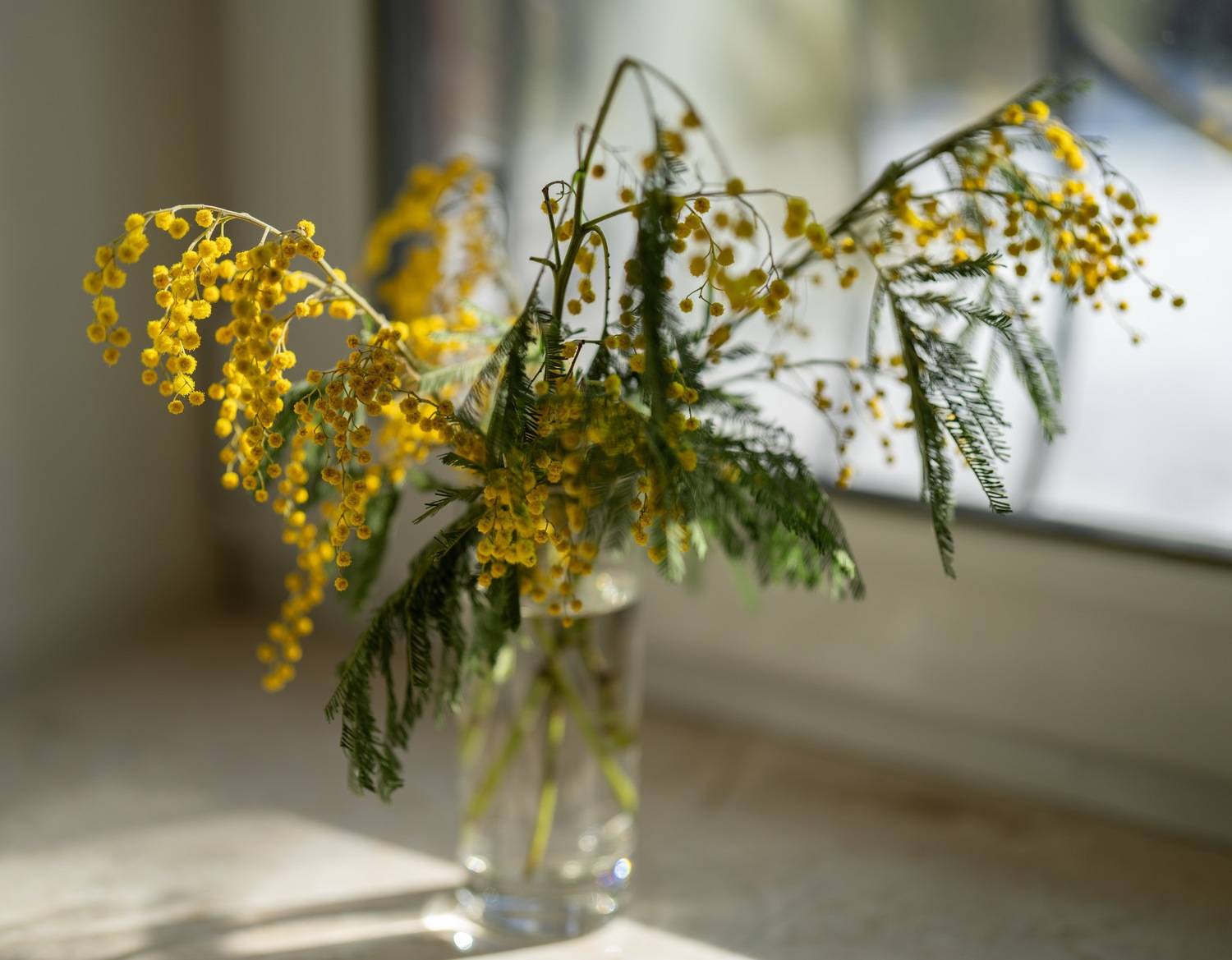 , Курлянцев Алексей