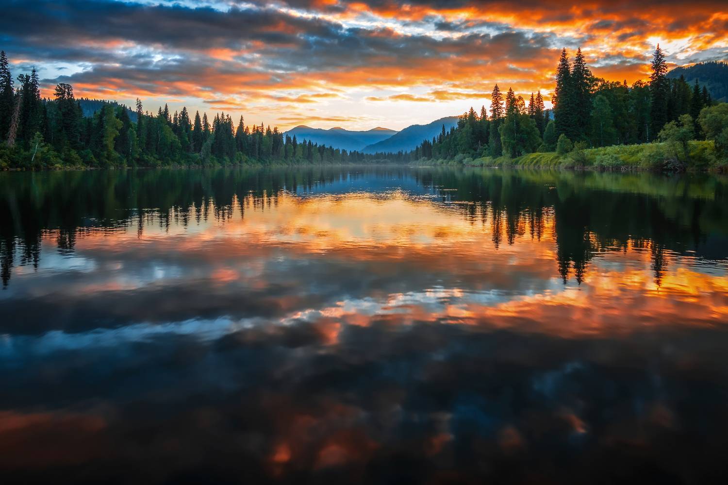 , Nikitin Alexander