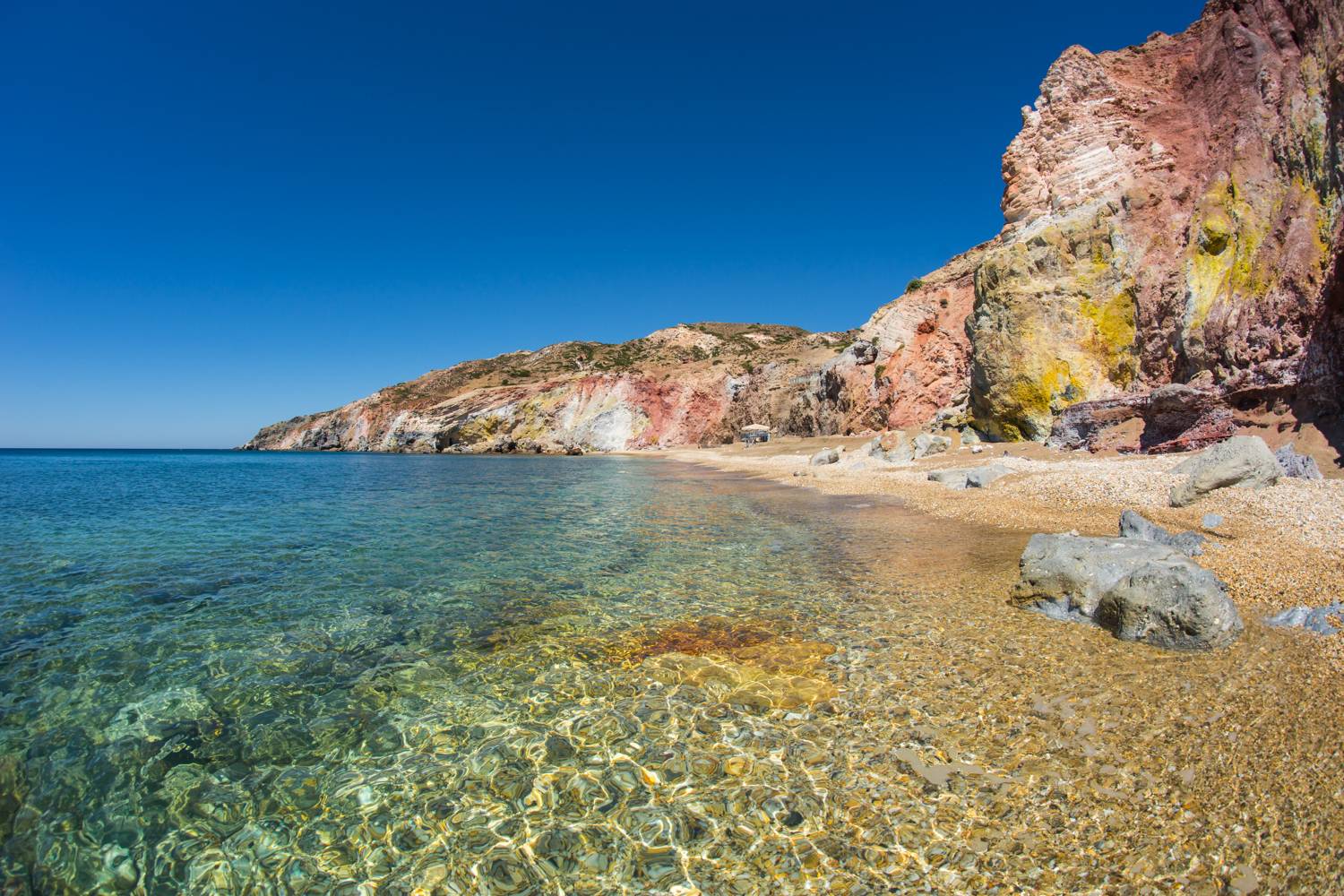 , Дария Максимова