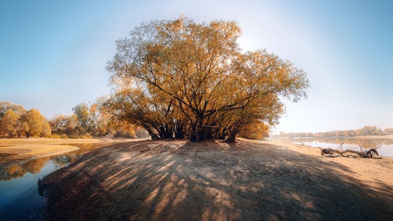 Погожий день фото превью