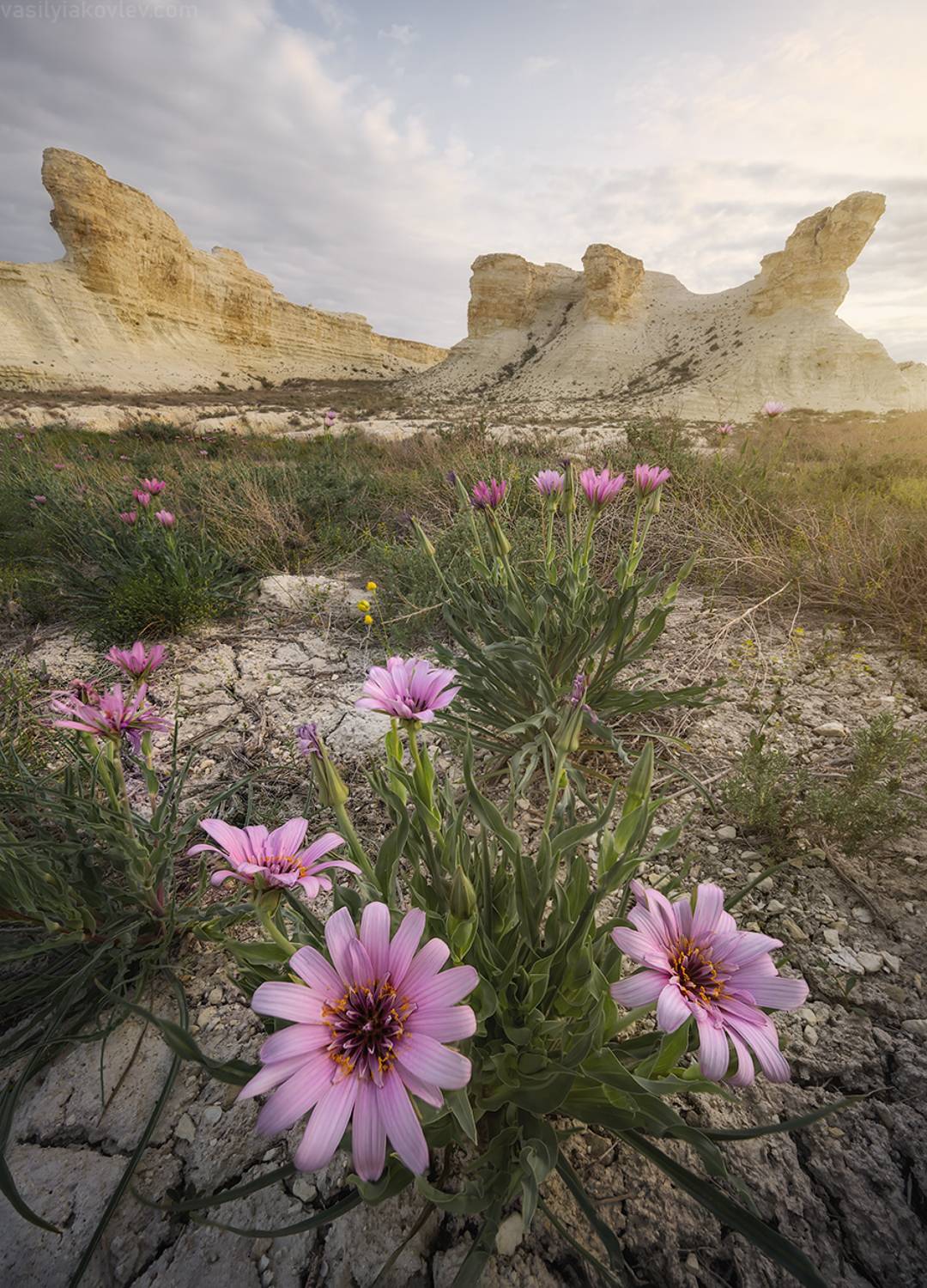 казахстан, фототур, яковлевфототур, мангистау, мангышлак, айракты, босжира, устюрт, карынжарык, тузбаир, торыш, туйесу, сенек, Василий Яковлев