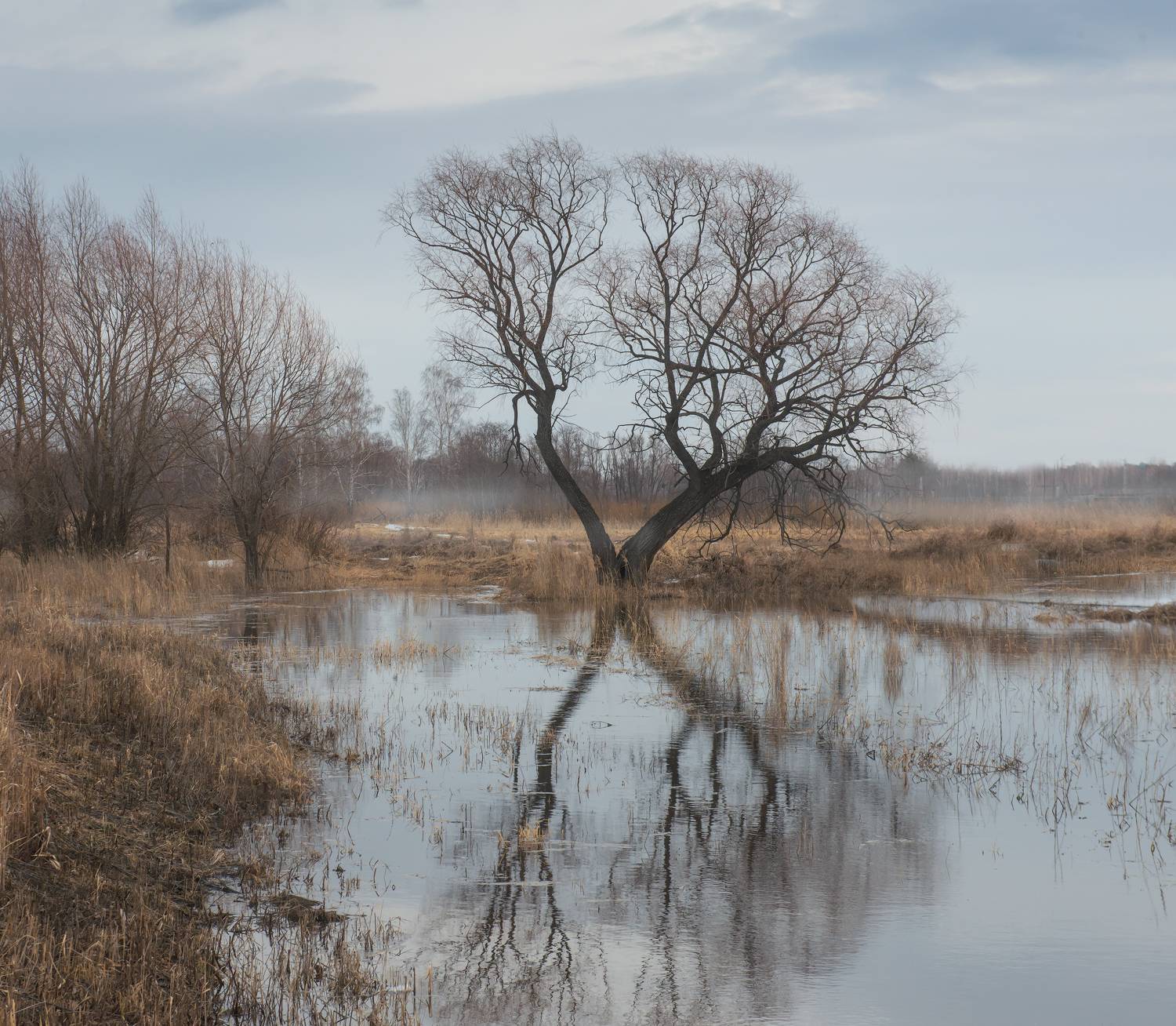 , Кутыгин Эдуард