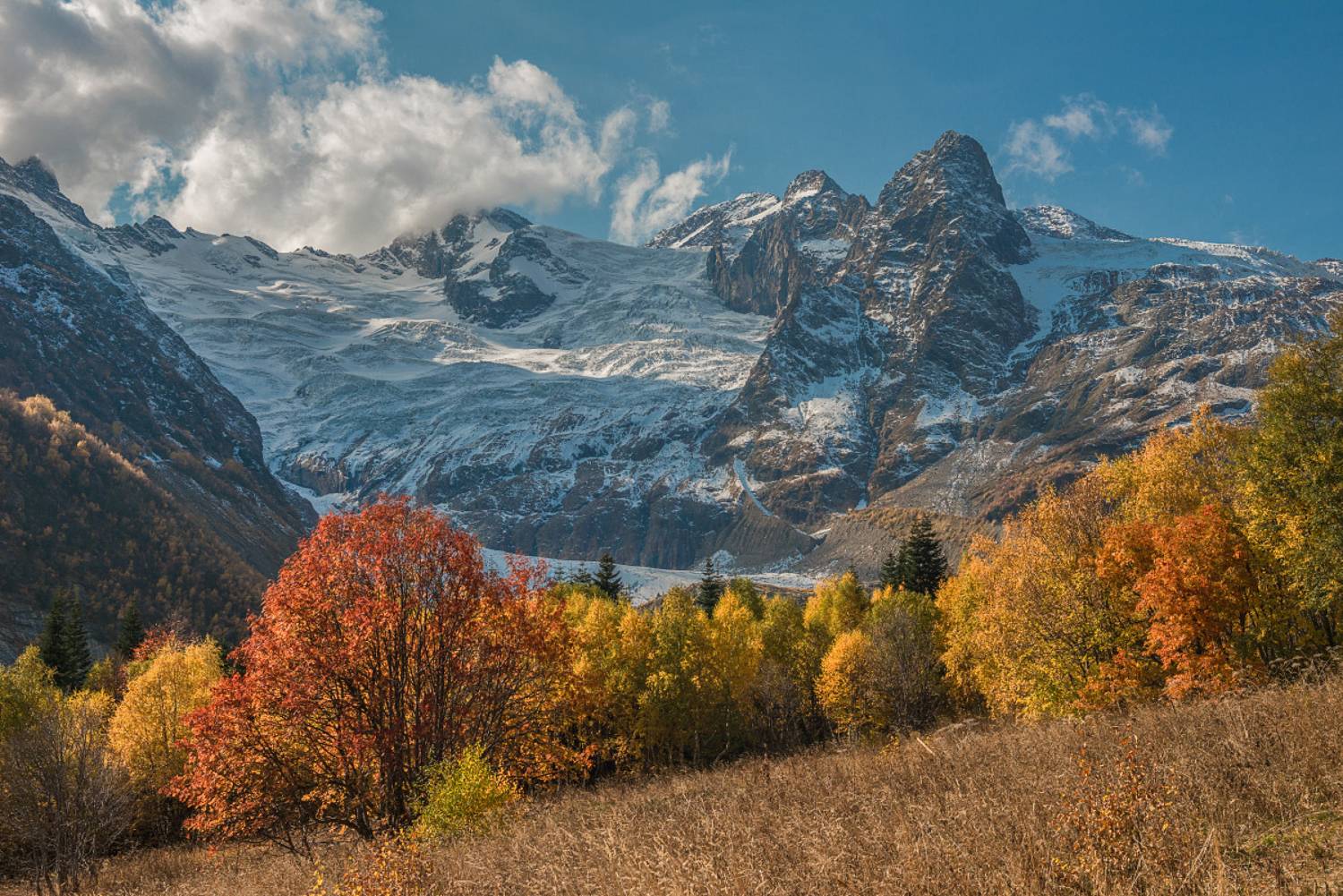 горы ледник лес, Anatoly
