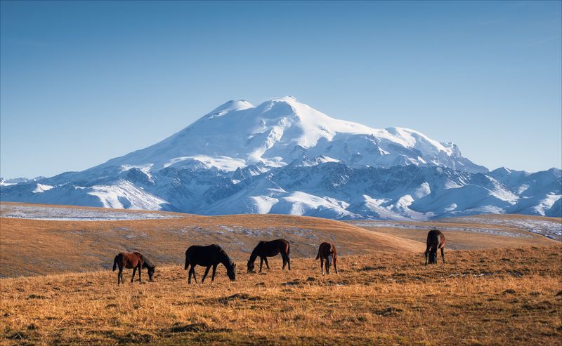 Солнечная осень в приэльбрусье фото превью