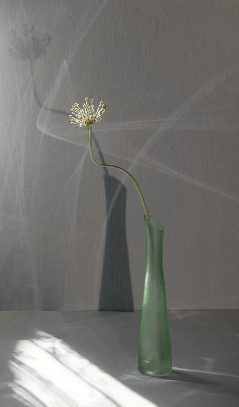 натюрморт свет Свет фото превью