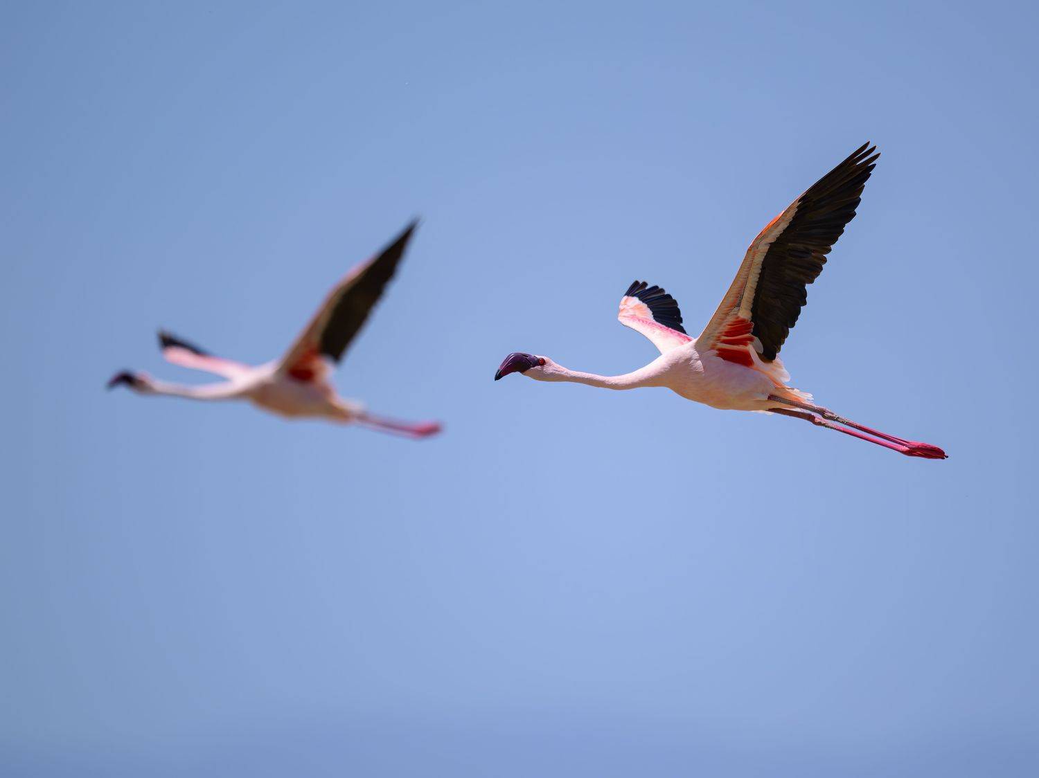 , Пупонин Сергей