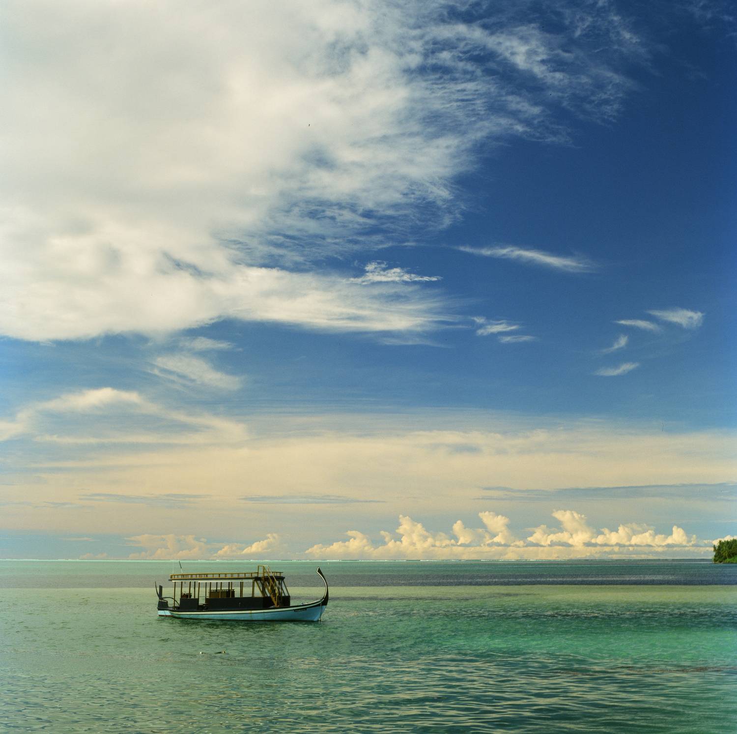 film, analog, analog photo, film photography, пленка, плёночная фотография, medium format, 120mm, 120 film, 6x6, средний формат, bronica, bronica sq-a, Zenzanon, Zenzanon80mm, Kodak, Ektachrome, E100, Ektachrome E100, Kodak Ektachrome E100, Попов Алексей