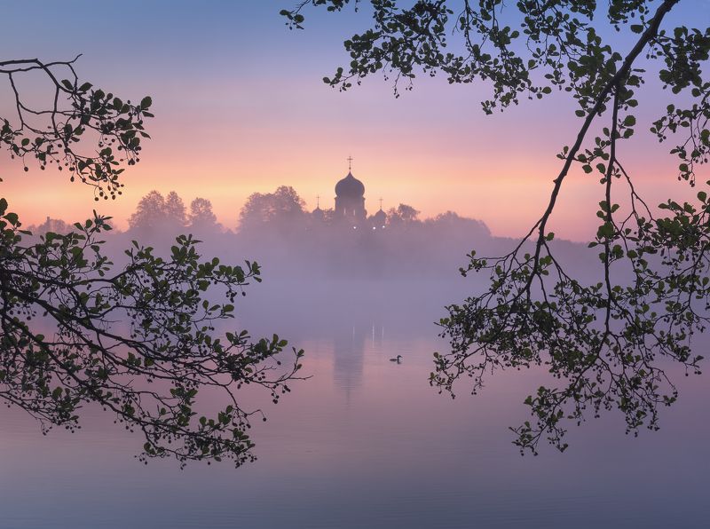 Перед рассветом фото превью