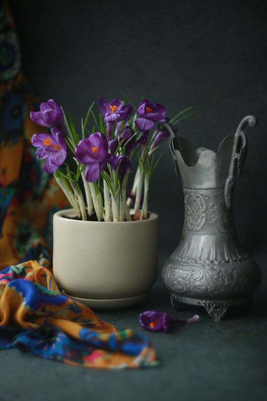 Крокусы фото превью