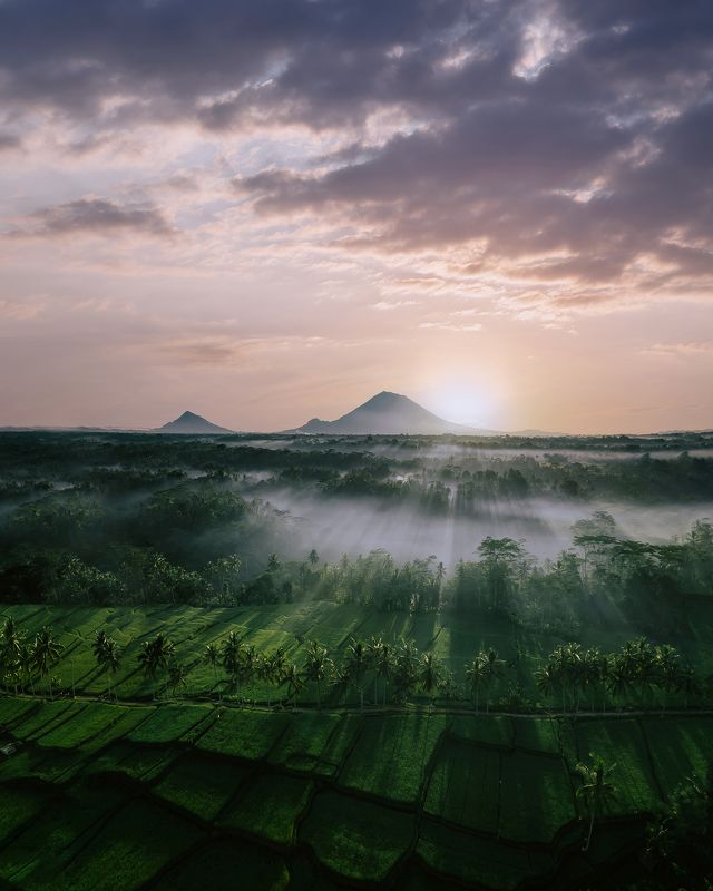 bali, indonesia, sunrise, morning, бали, индонезия Balinese morning фото превью