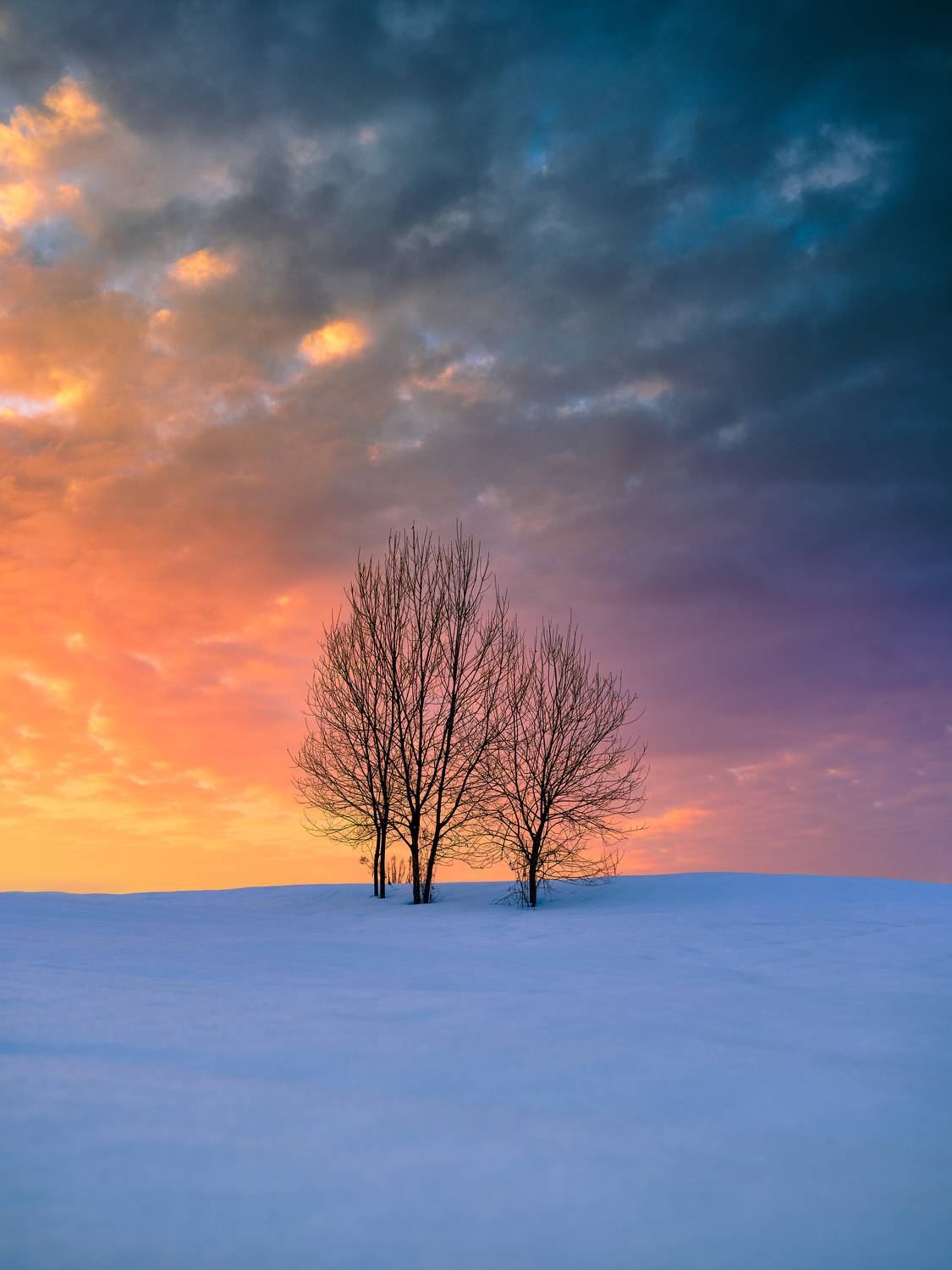 , Дыбов Дмитрий