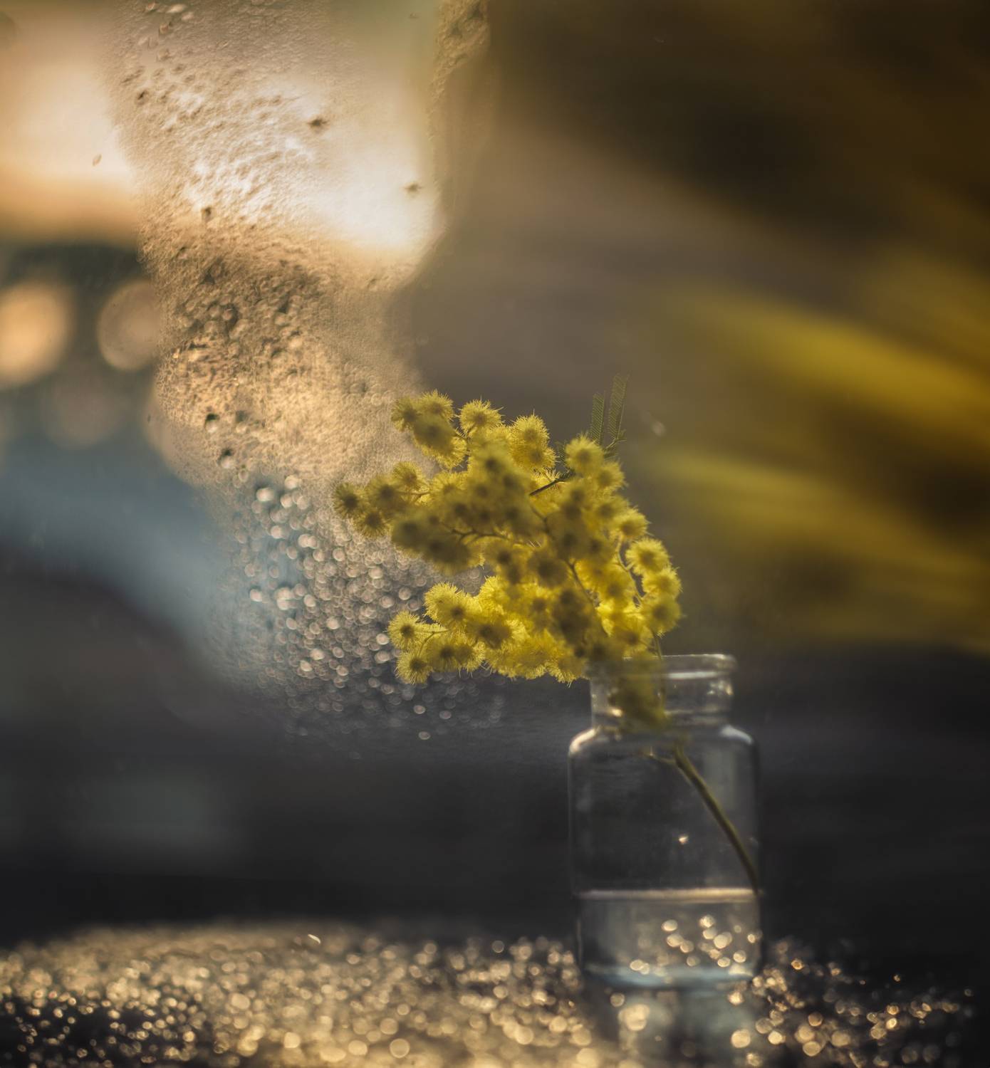 , Сигидова Ирина