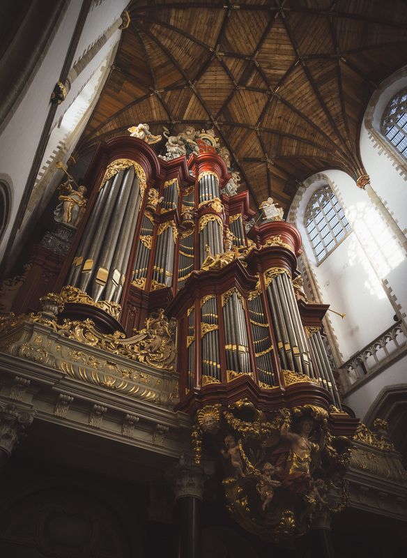 Haarlem organ. фото превью