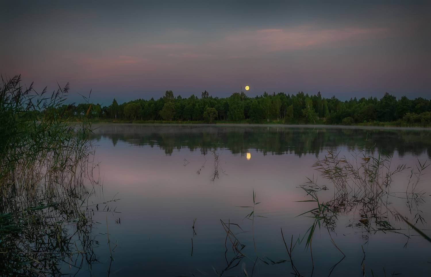 река, ночь, луга, штиль, лес,берег, Сергей Аникин