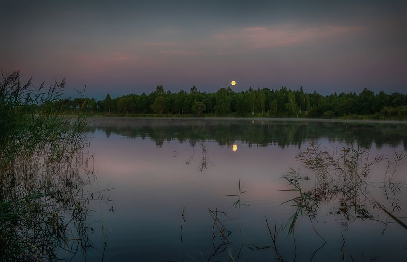 Ночь на Сози фото превью