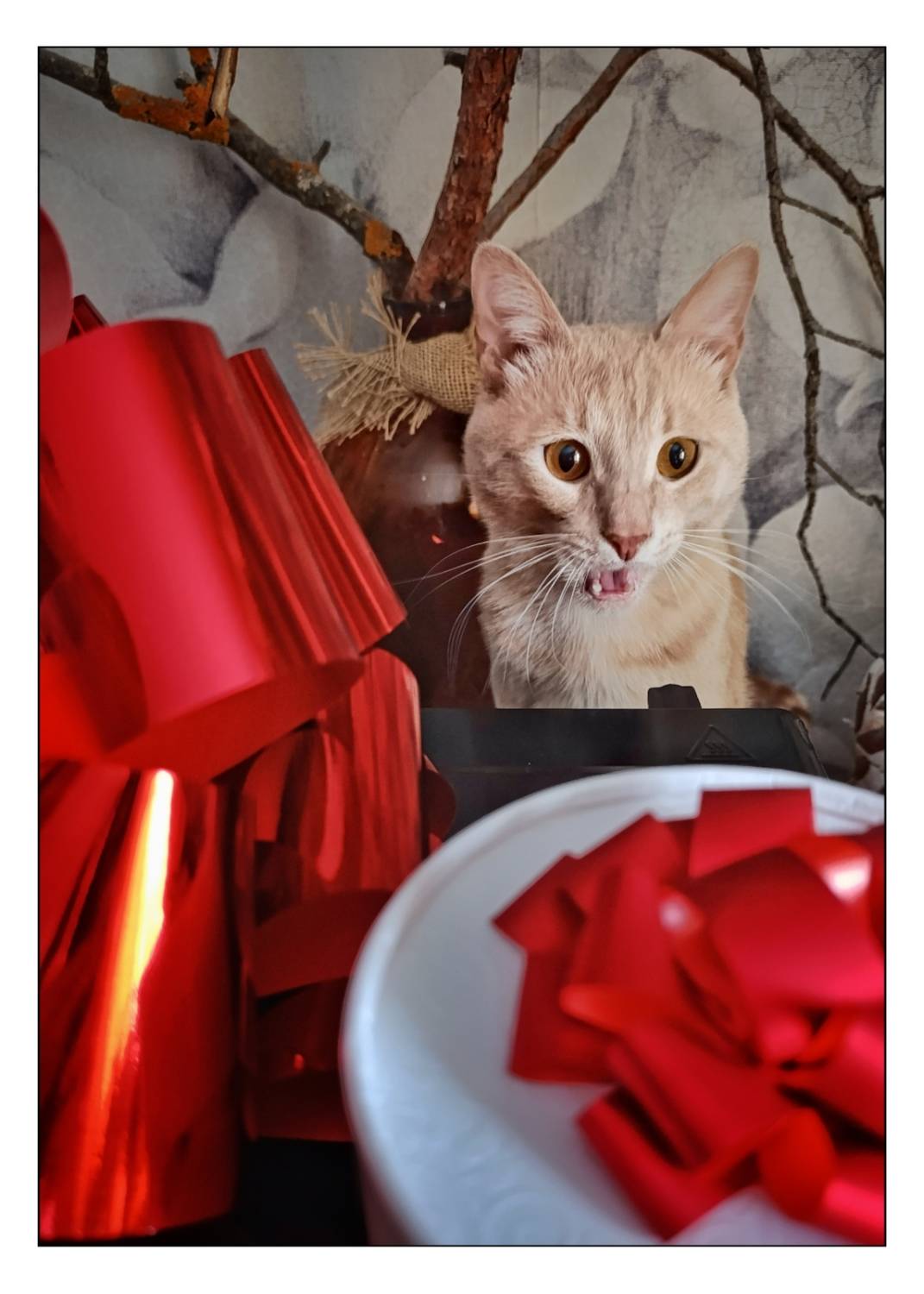 , Герасимова Алёна