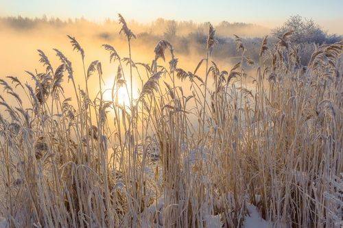 Зима хрустальная