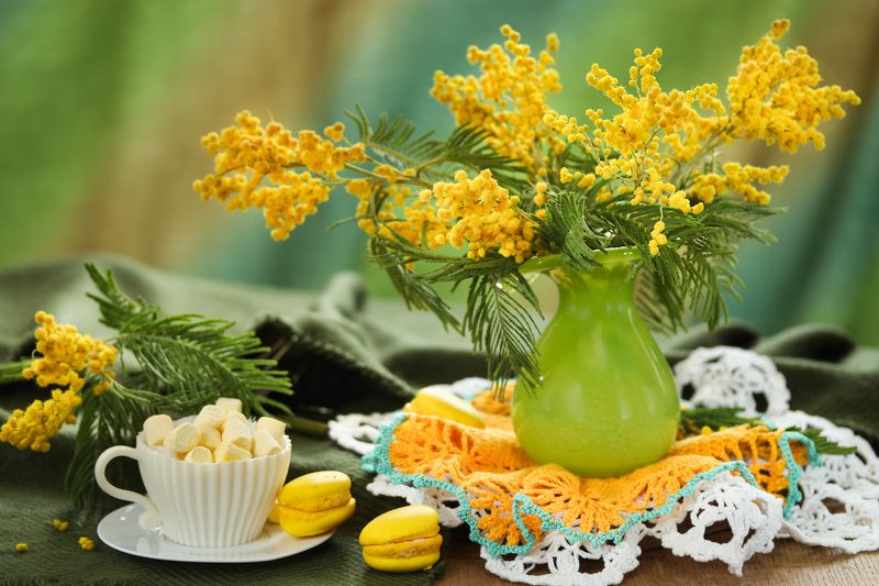 природа, весна, букет, мимоза, печенье Мимоза фото превью