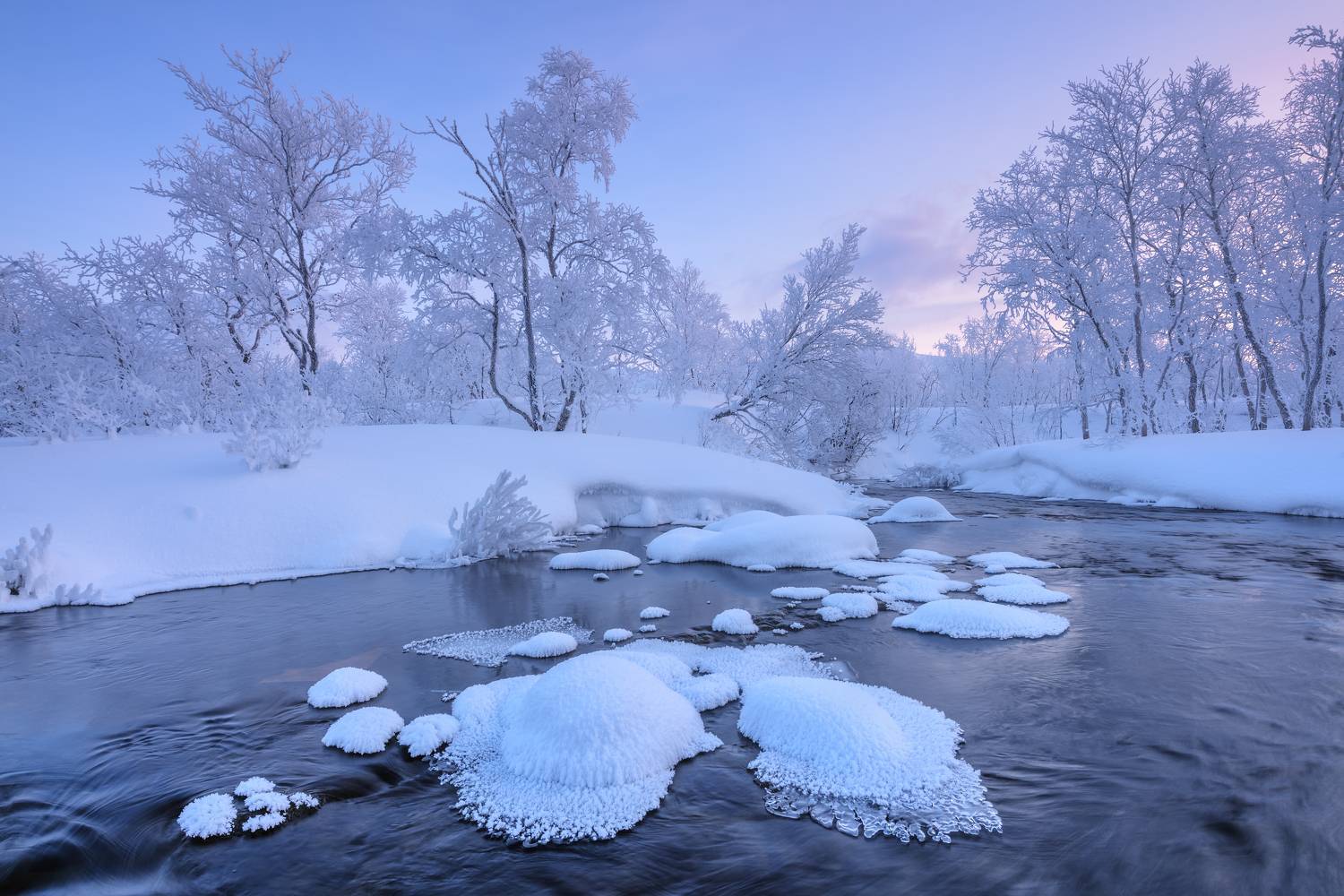 , Максим Евдокимов
