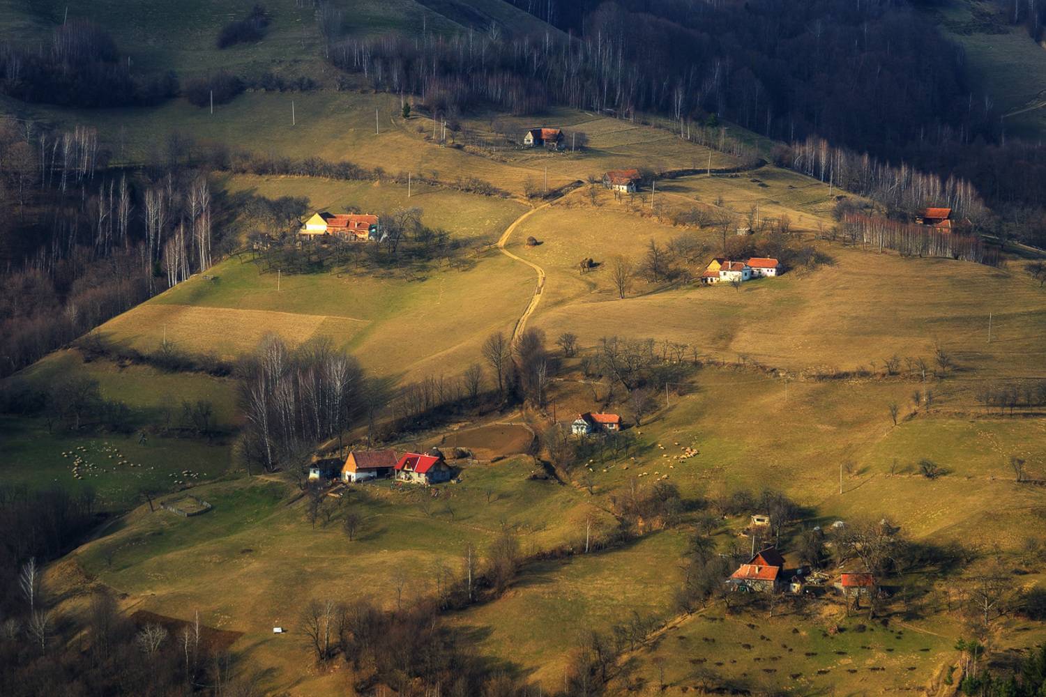 , Stefan Chirobocea