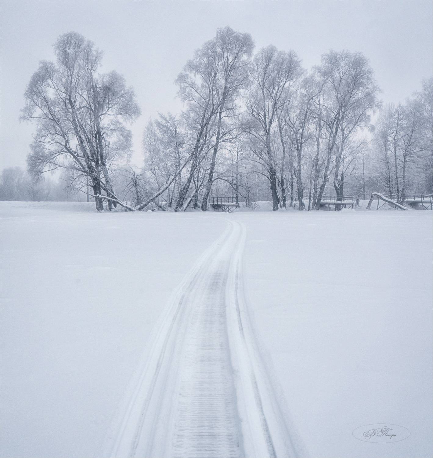 дорога деревья иней, Вера Петри