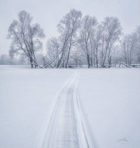 Графика зимы