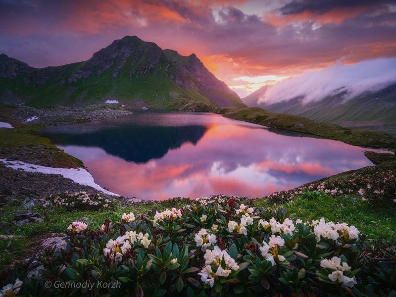 фото превью