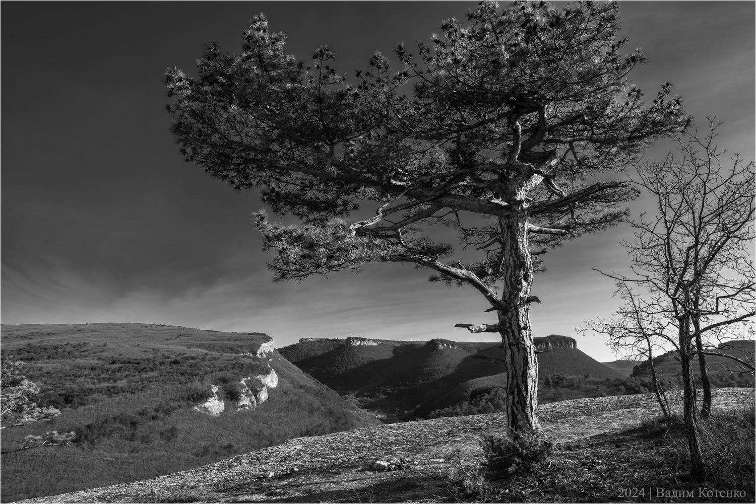 , Котенко Вадим