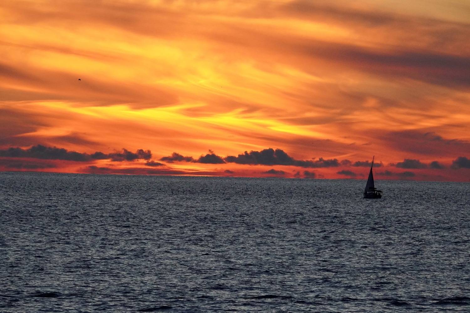 , Dmitry Korobeynikov