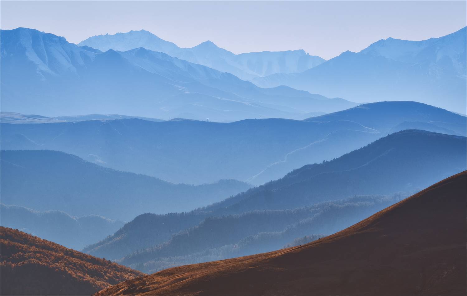 , Богорянов Алексей