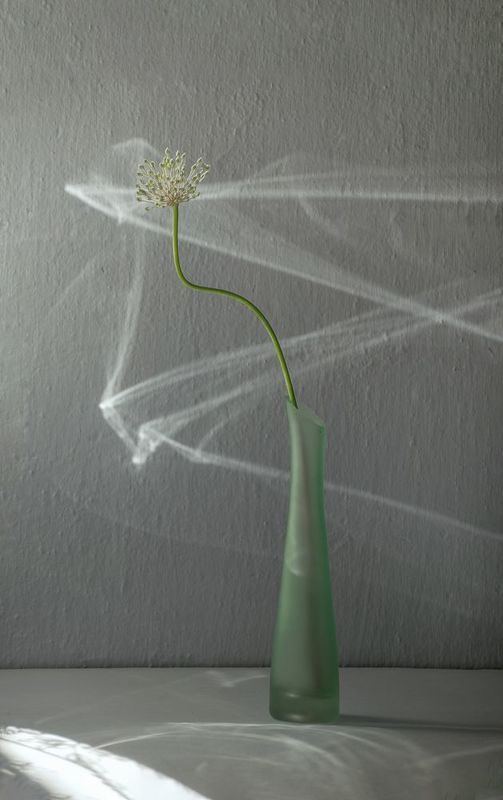 натюрморт свет Свет фото превью