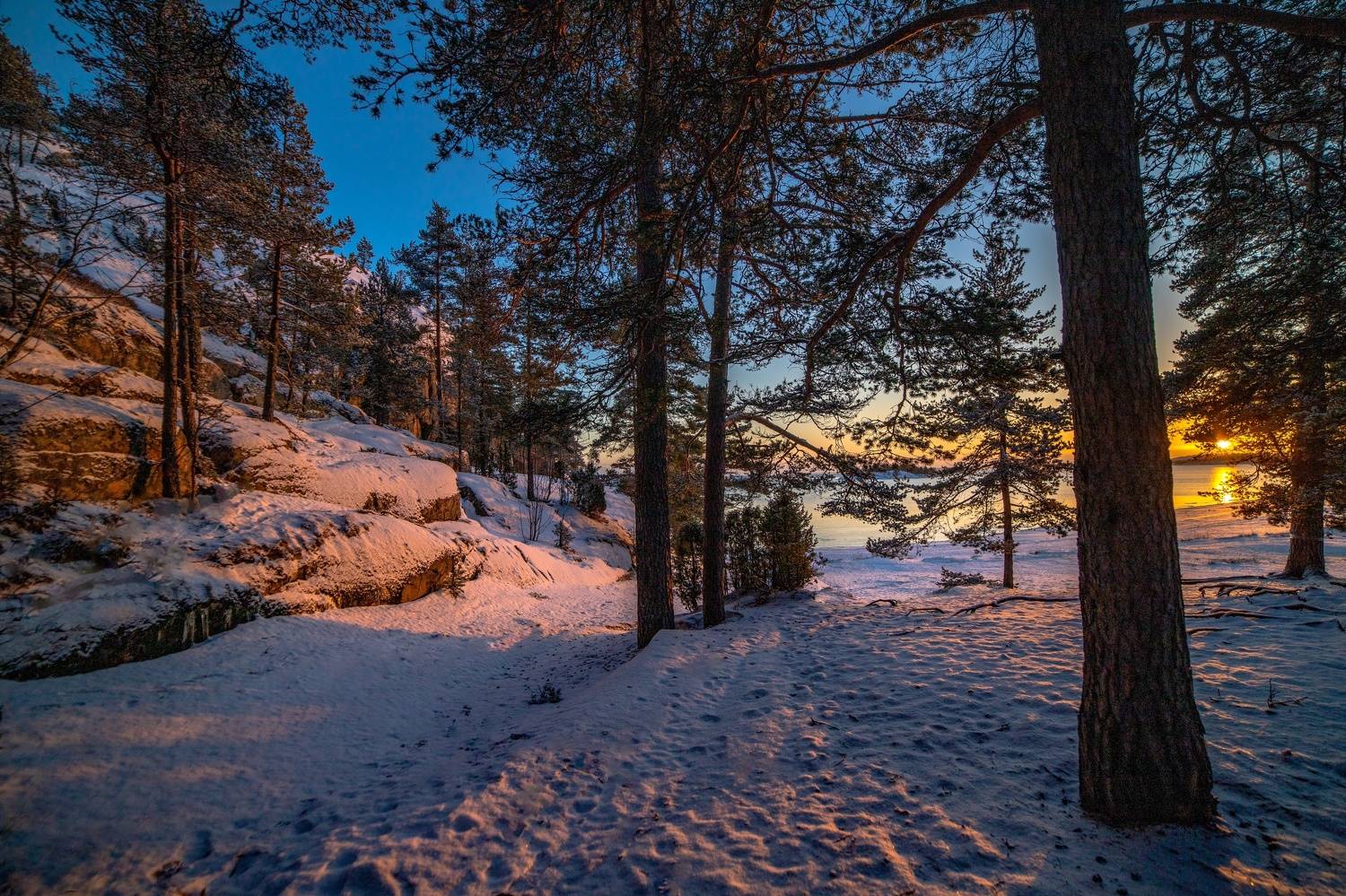 , Елена Герасимова