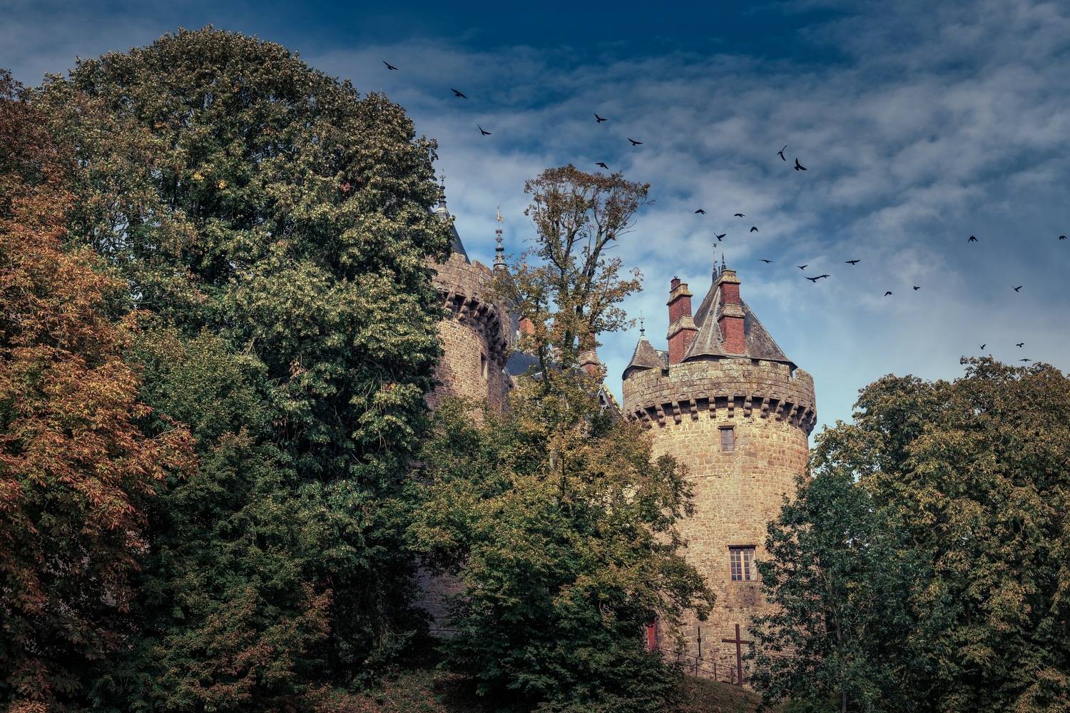 , Шимаковский Юрий