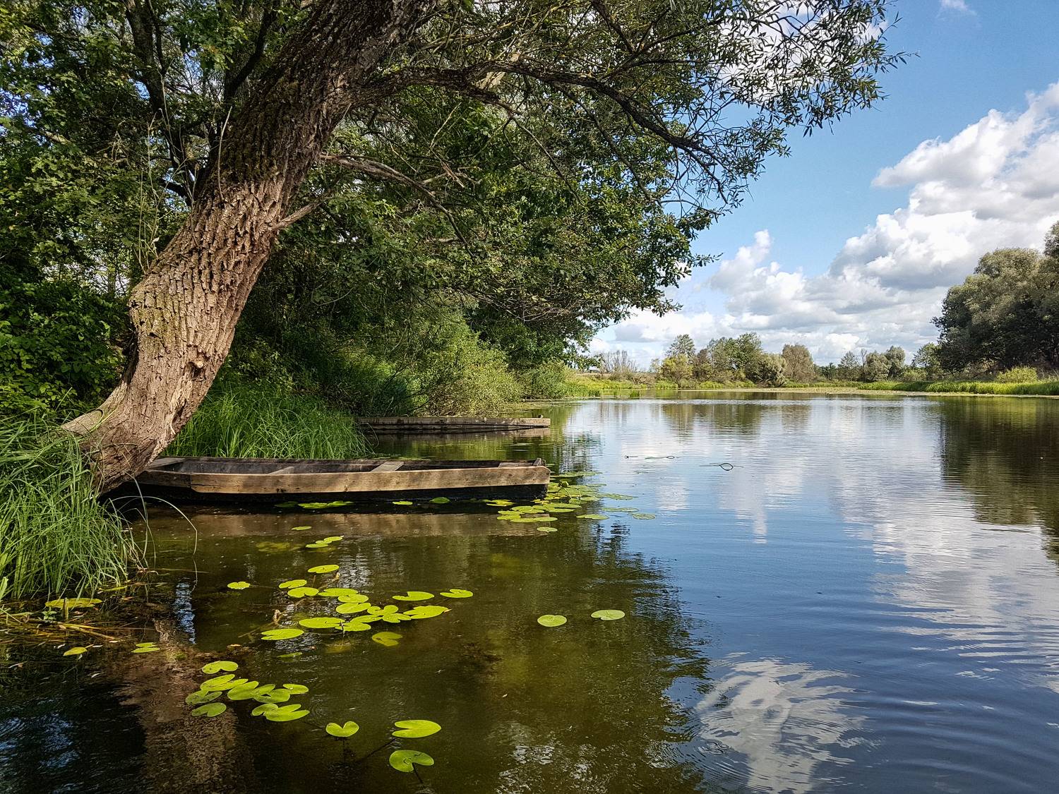 озеро красота вечер, Александр Березуцкий