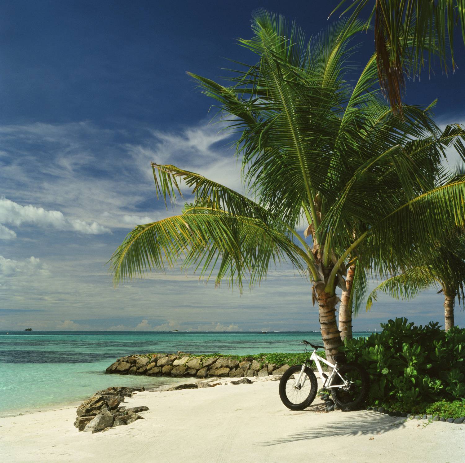 film, analog, analog photo, film photography, пленка, плёночная фотография, medium format, 120mm, 120 film, 6x6, средний формат, bronica, bronica sq-a, Zenzanon, Zenzanon80mm, Kodak, Ektachrome, E100, Ektachrome E100, Kodak Ektachrome E100, Попов Алексей