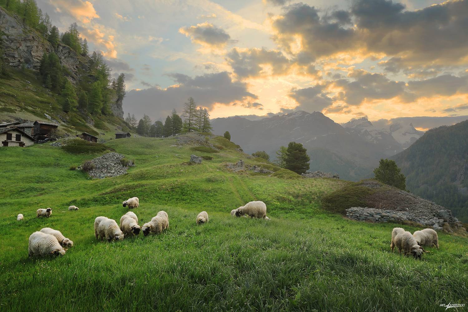 swiss,швейцария,весна,zermatt, Матвеев Николай