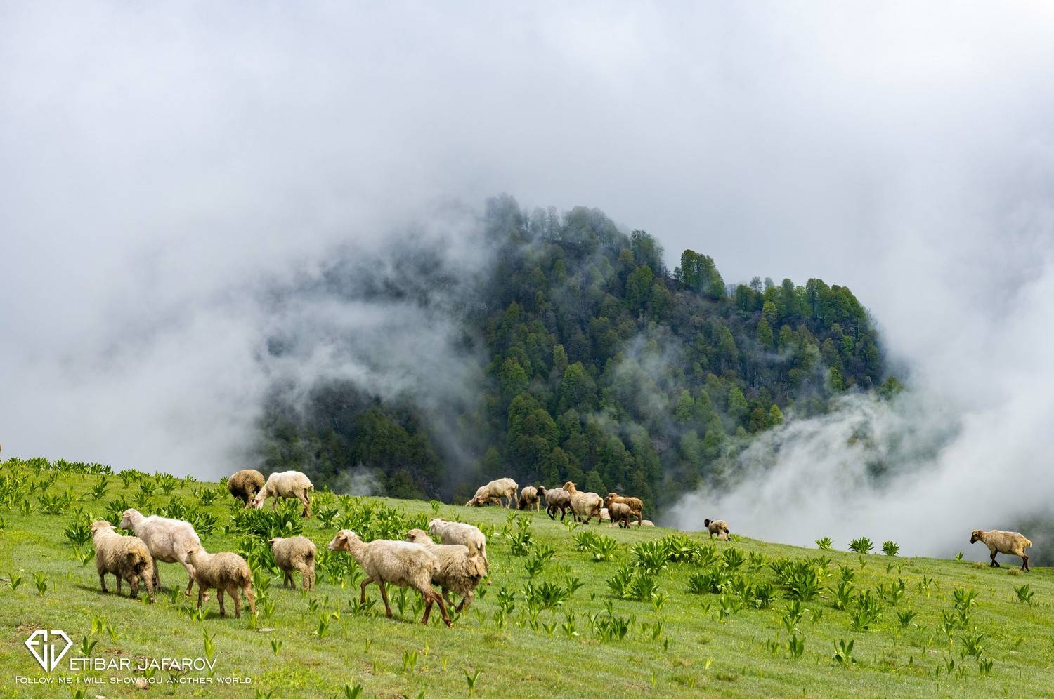 Qubek , Balakǝn, Etibar Jafarov