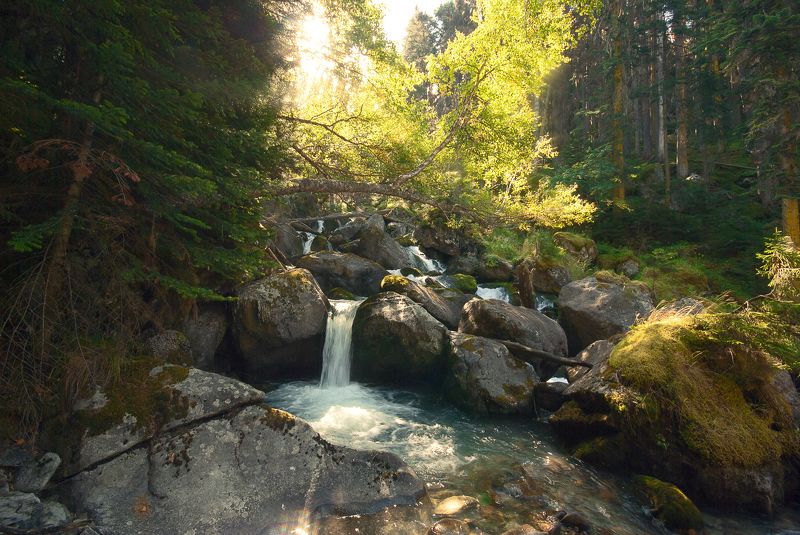 *** фото превью