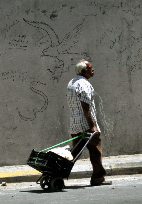 A struggle for survival фото превью