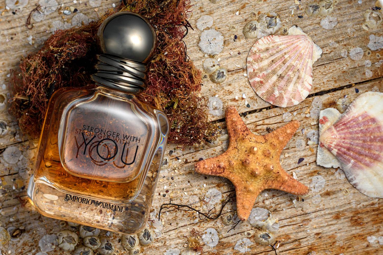 ,  Светослав Радков